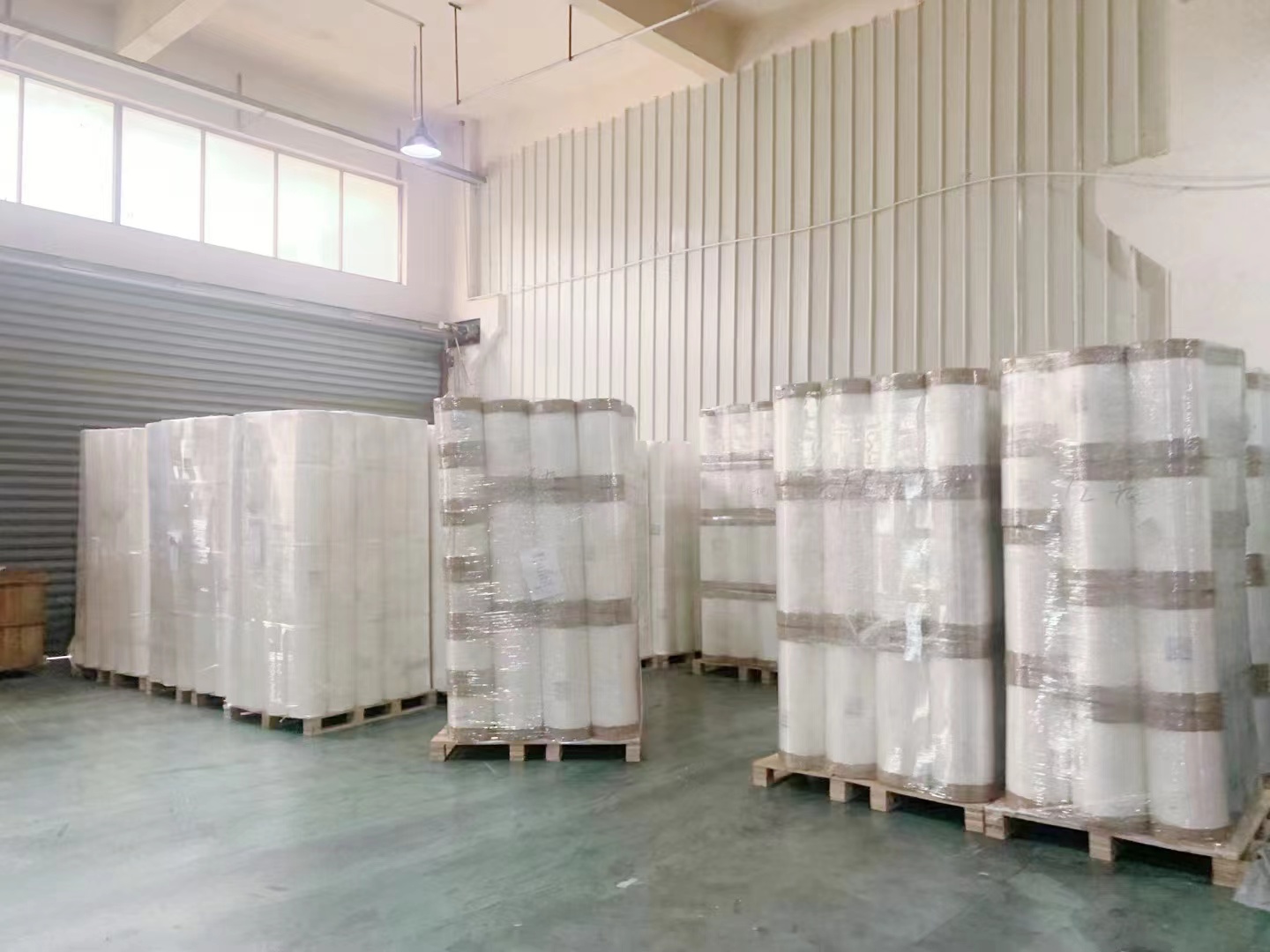 Novus stella Ultimas Shipment BOPP Scelerisque film Aegypti